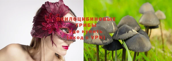 круглые Алексин