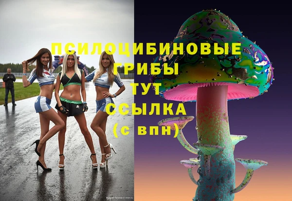 круглые Алексин