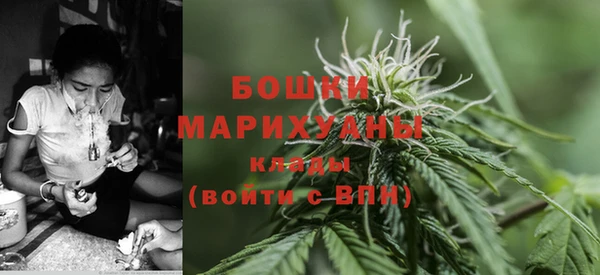 прущие крисы Алзамай